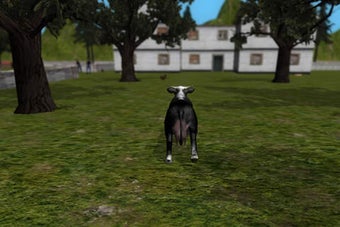 Image 0 for Crazy Cow Simulator FREE