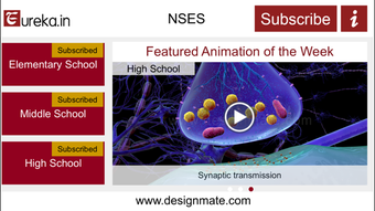 Image 1 for Eureka.in - NSES