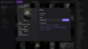 Image 0 for SurSort Media Manager
