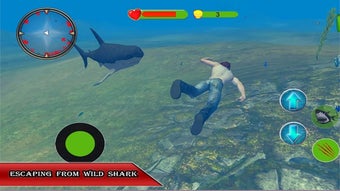 Image 0 for Blue Whale Shark Simulato…