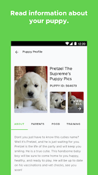 Imagen 1 para PuppySpot