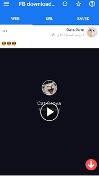 Imagen 0 para video downloader for Face…