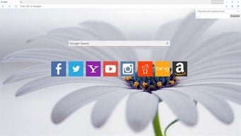 Imagen 2 para Inkognito Browser for Win…