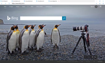 Imagen 1 para Inkognito Browser for Win…