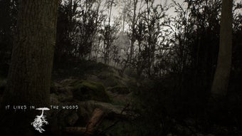 Image 0 for ItLivesInTheWoods