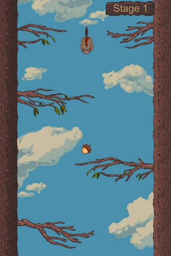 Image 0 for Acorn Aviator