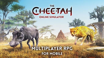 Image 0 for The Cheetah