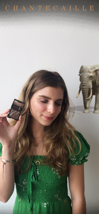 Image 1 for Chantecaille Wild Beauty
