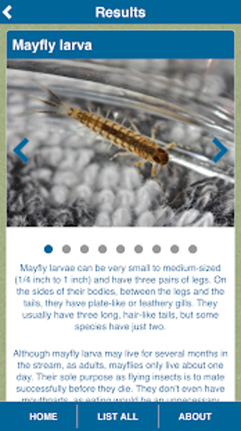 Image 1 for Aqua Bugs