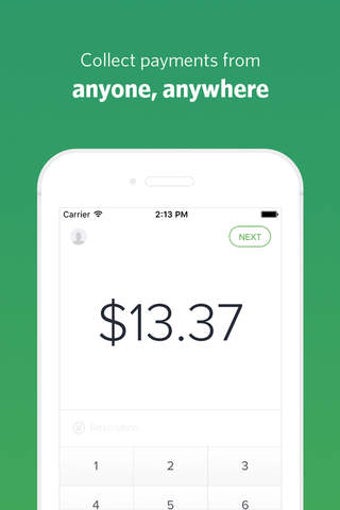 Image 0 for Payment for Stripe - In p…