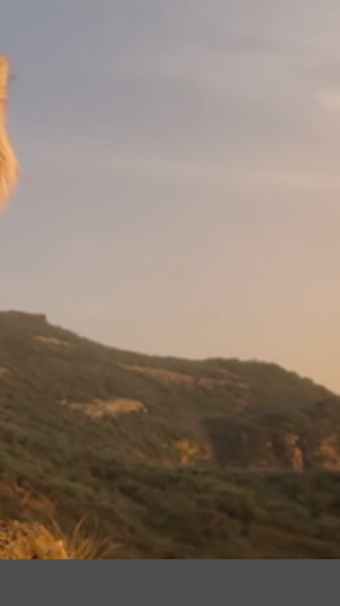 Imagen 1 para Song SPIRIT The Lion King…