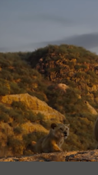 Imagen 0 para Song SPIRIT The Lion King…