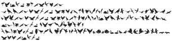 Image 0 for Birds of a Feather
