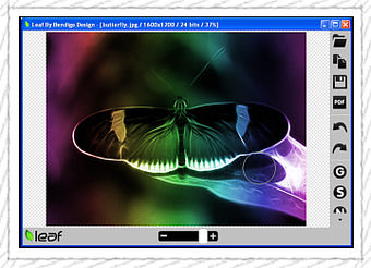Image 0 for Leaf