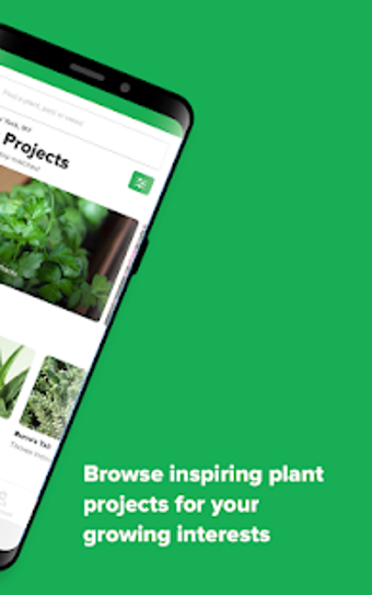 Imagen 2 para My Garden: Inspiration To…