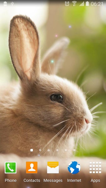 Imagen 1 para Cute Animals Live Wallpap…