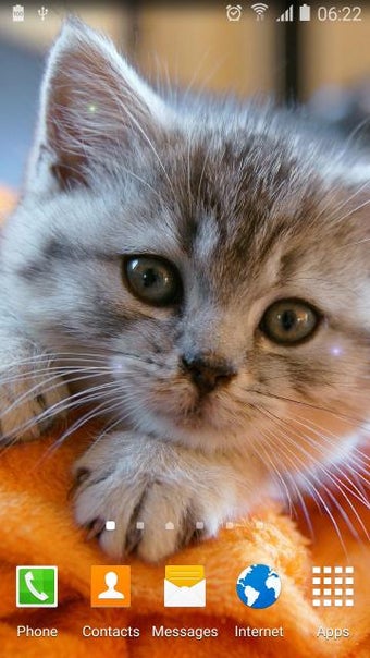 Imagen 0 para Cute Animals Live Wallpap…