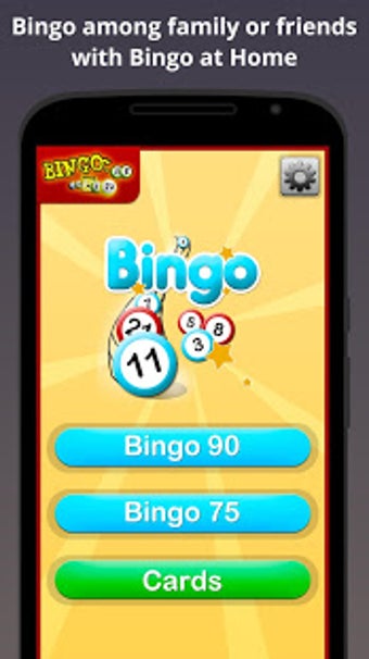 Image 0 for Bingo at Home