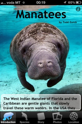 Image 0 for Manatees