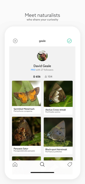 Image 0 for Leps by Fieldguide