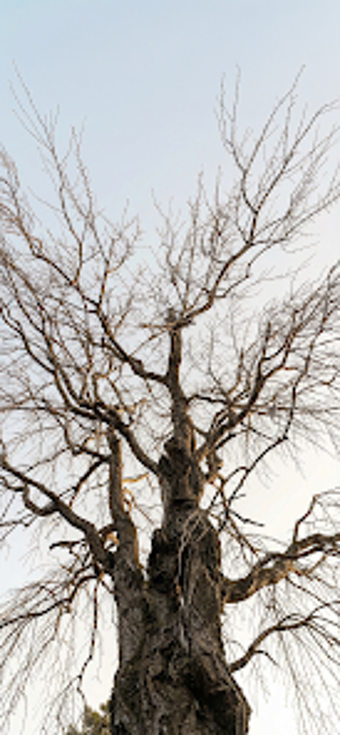 Image 0 for Escape: House Awaiting Sp…