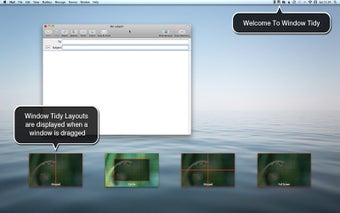 Imagen 1 para Window Tidy
