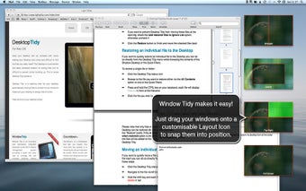 Imagen 2 para Window Tidy