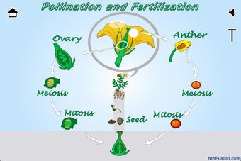 Image 1 for A Life Cycle App
