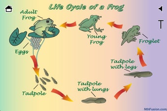 Image 5 for A Life Cycle App