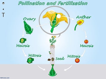 Image 2 for A Life Cycle App