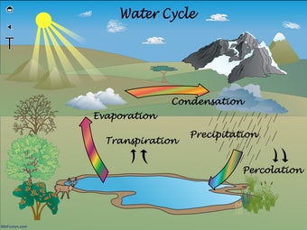 Image 6 for A Life Cycle App