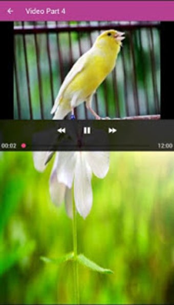Image 1 for Mp3 Masteran Kenari Full …