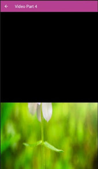 Image 1 for Mp3 Masteran Kenari Full …