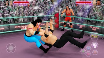 Image 1 for World Tag Team Fighting S…