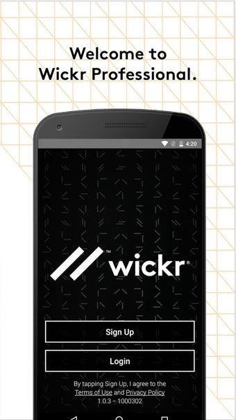 Imagen 3 para Wickr Pro
