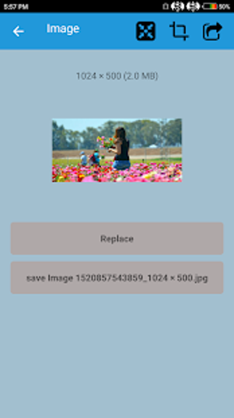 Image 0 for Resize it