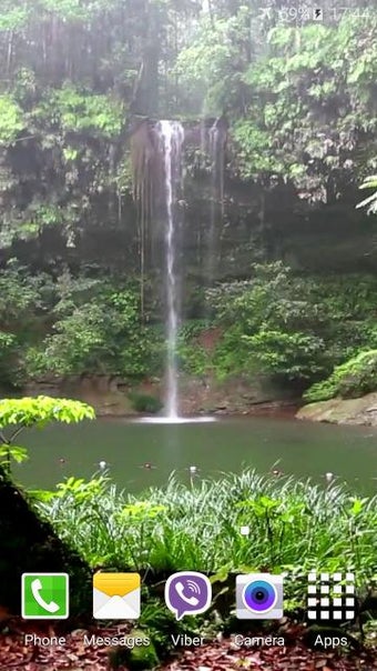 Image 2 for Tropical Rain Video Wallp…