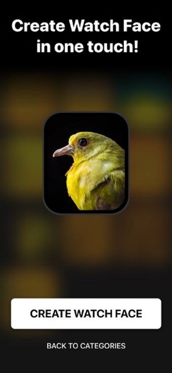Image 2 for Faces - custom Watch Face…