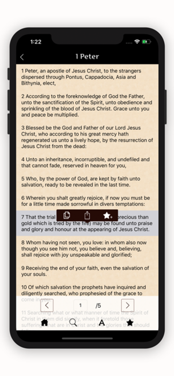 Image 0 for Douay - Rhiems Catholic B…