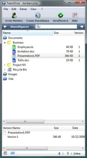 Imagen 0 para TeamDrive Portable