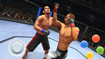 Image 0 for World Boxing Fighting Cha…
