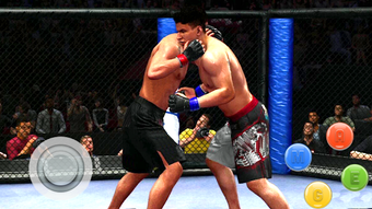 Image 2 for World Boxing Fighting Cha…