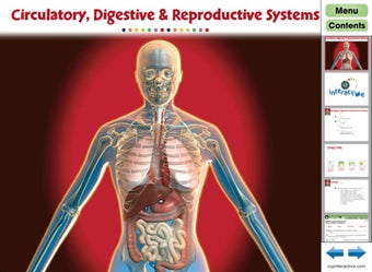 Image 0 for Circulatory, Digestive & …