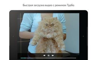Imagen 1 para Yandex.Browser Beta