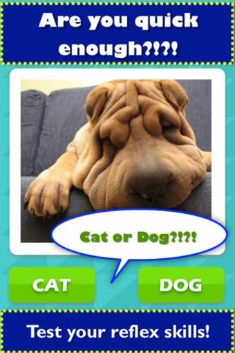 Image 1 for TicToc Pic: Cat or Dog Ed…