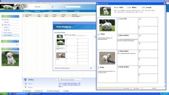Image 0 for Kennel Professional