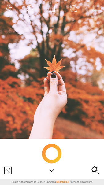 Imagen 3 para Season Camera - AUTUMN