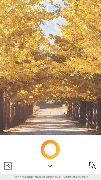 Imagen 0 para Season Camera - AUTUMN