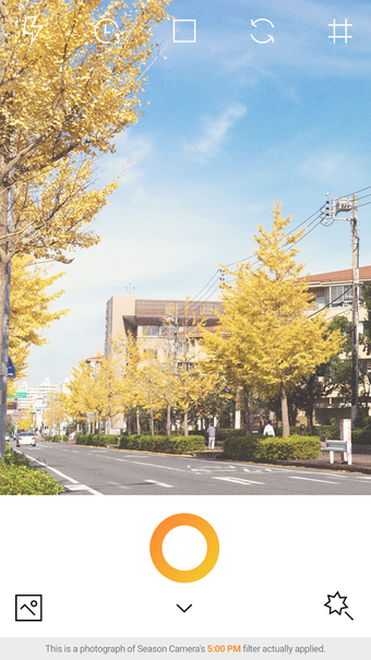 Imagen 2 para Season Camera - AUTUMN