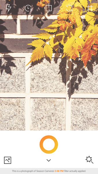 Image 1 for Season Camera - AUTUMN